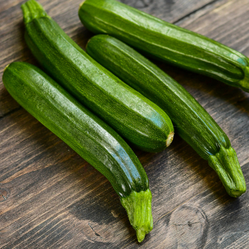 Courgette zucchini Seeds