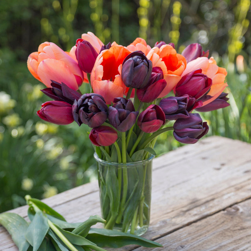 Gemstone Tulip Collection