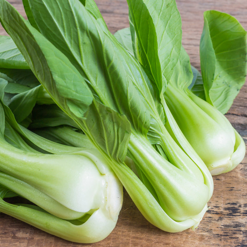 Pak Choi chinese White Seeds
