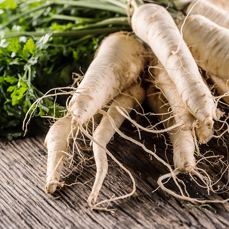 Parsnip tender And True Seeds
