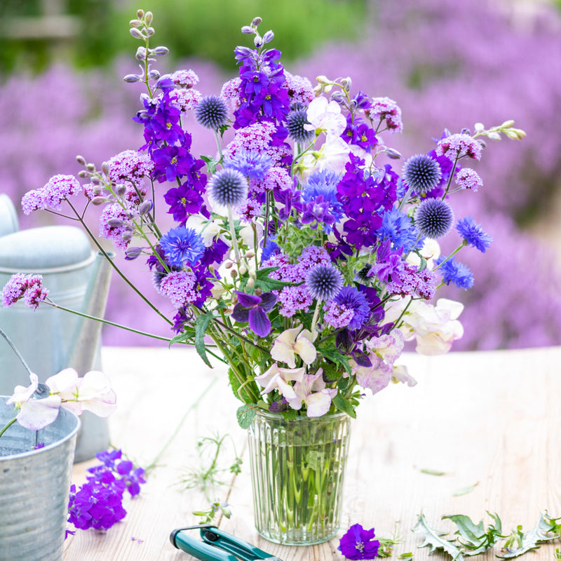 Power Of Purple
