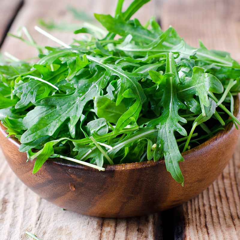 Salad Rocket Seeds