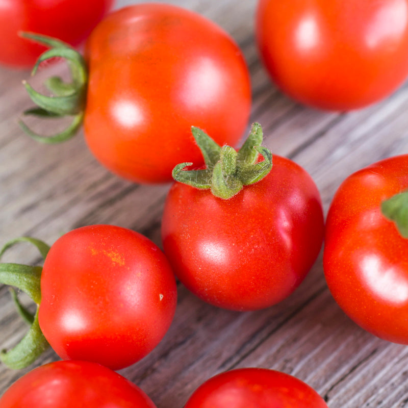 Tomato gardeners Delight Seeds