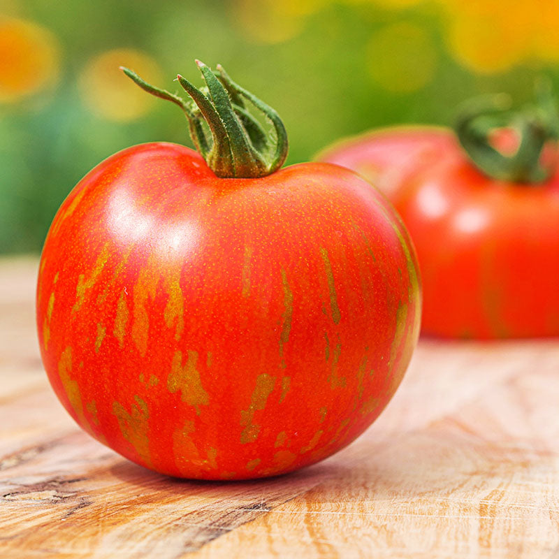 Tomato tigerella Seeds