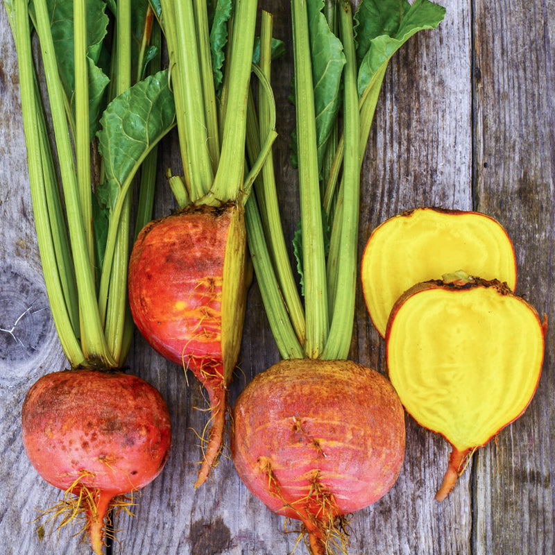 Beetroot burpees Golden Seeds
