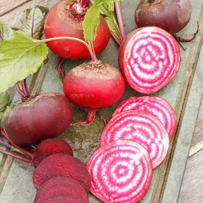 Beetroot chioggia Seeds