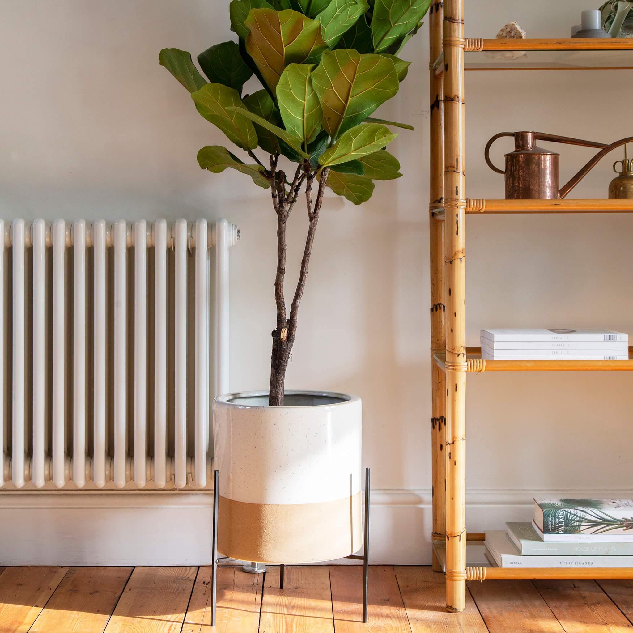 Farrer Speckle  Indoor Plant PotandStand