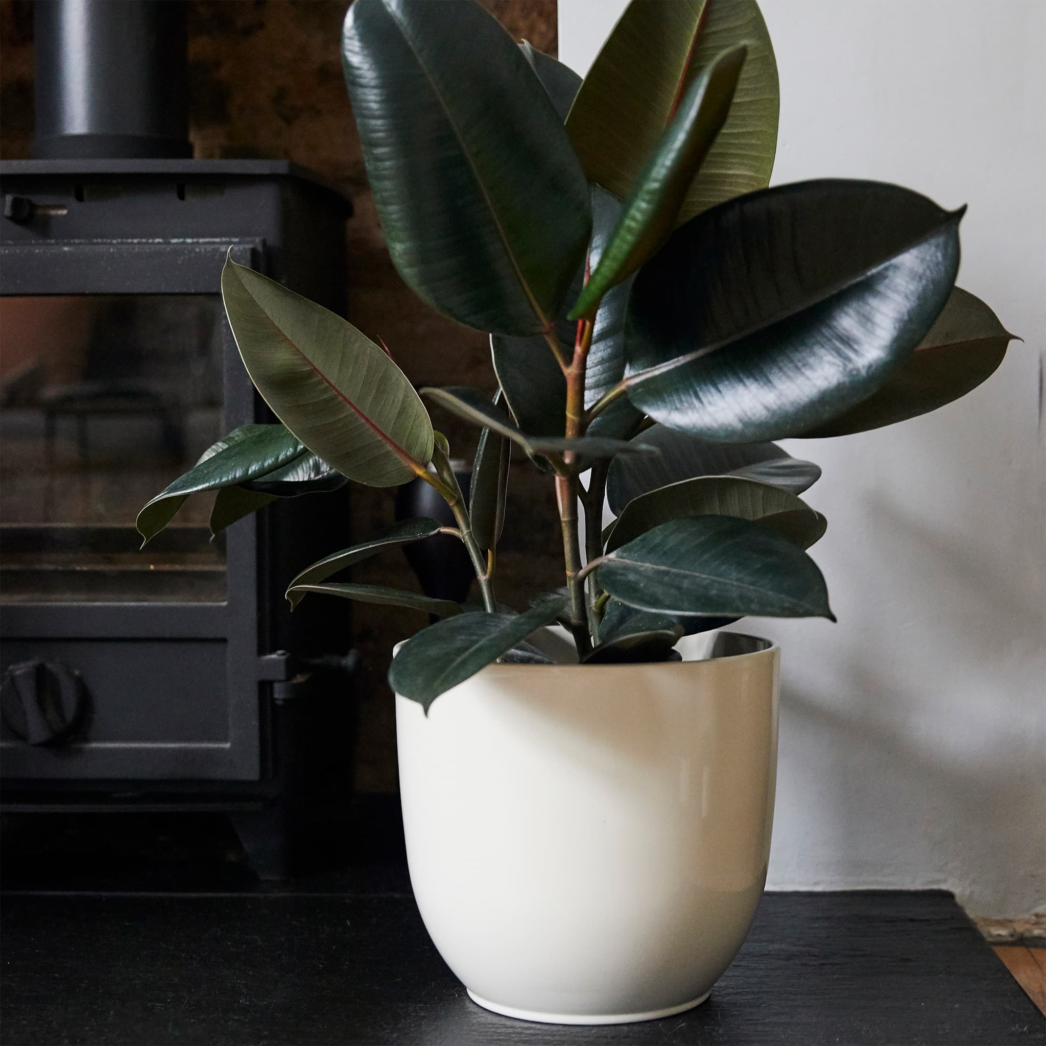 Gloss Cream Ceramic Indoor Plant Pot - W25xh23cm