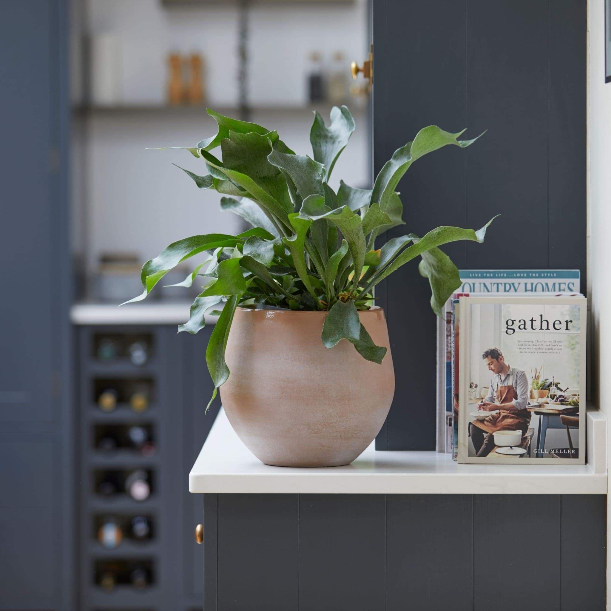 Golden Brown Indoor Ceramic Plant Pot - 23cm