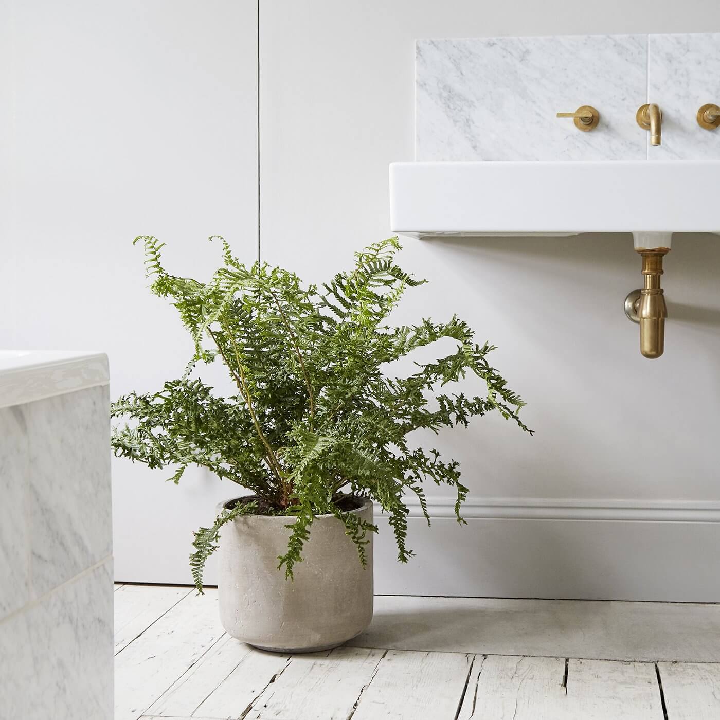 Grey Concrete Indoor Pot - W31 X H27 Cm