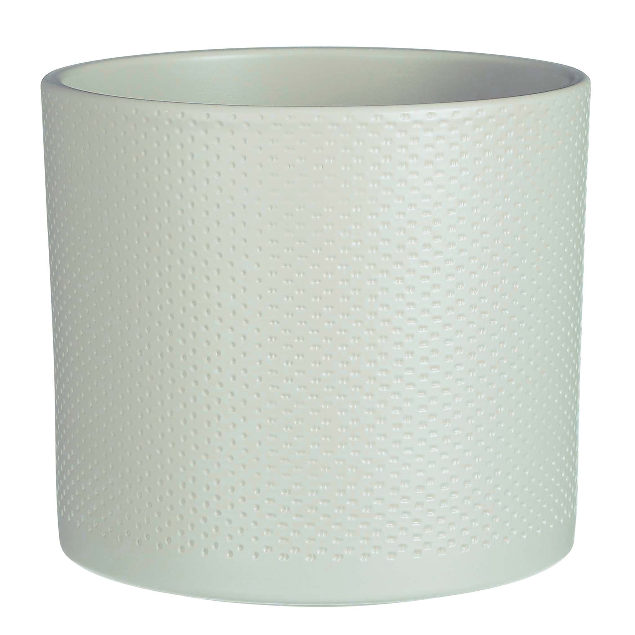 Hayley Dimple Mint  Indoor Plant Pot