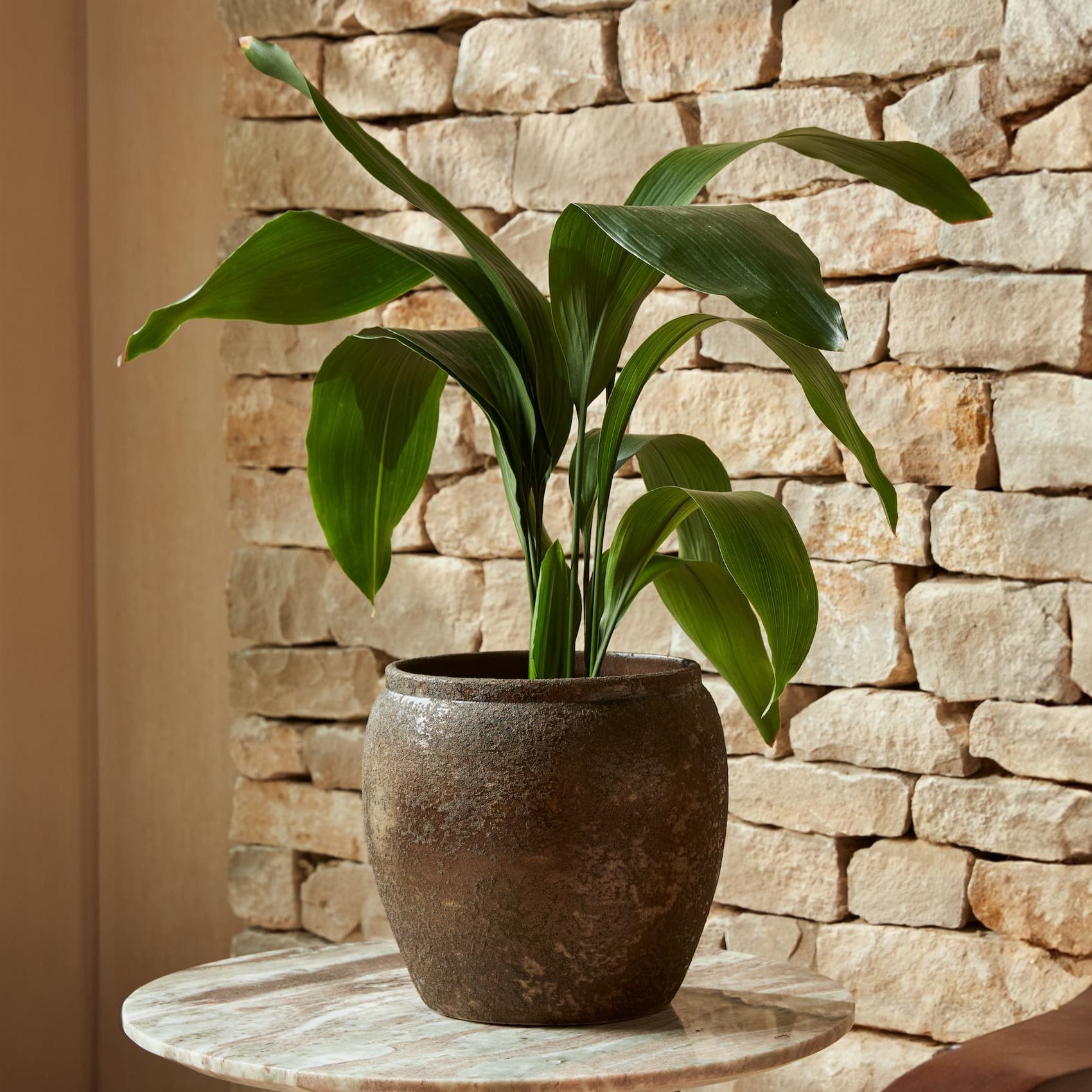 Julian Bronze  Indoor Plant Pot