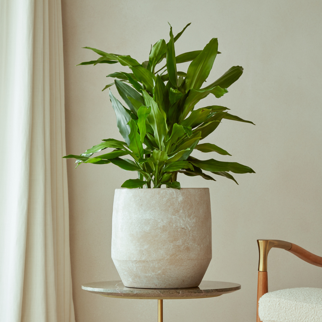 Leandro  Indoor Plant Pot Soft Sand