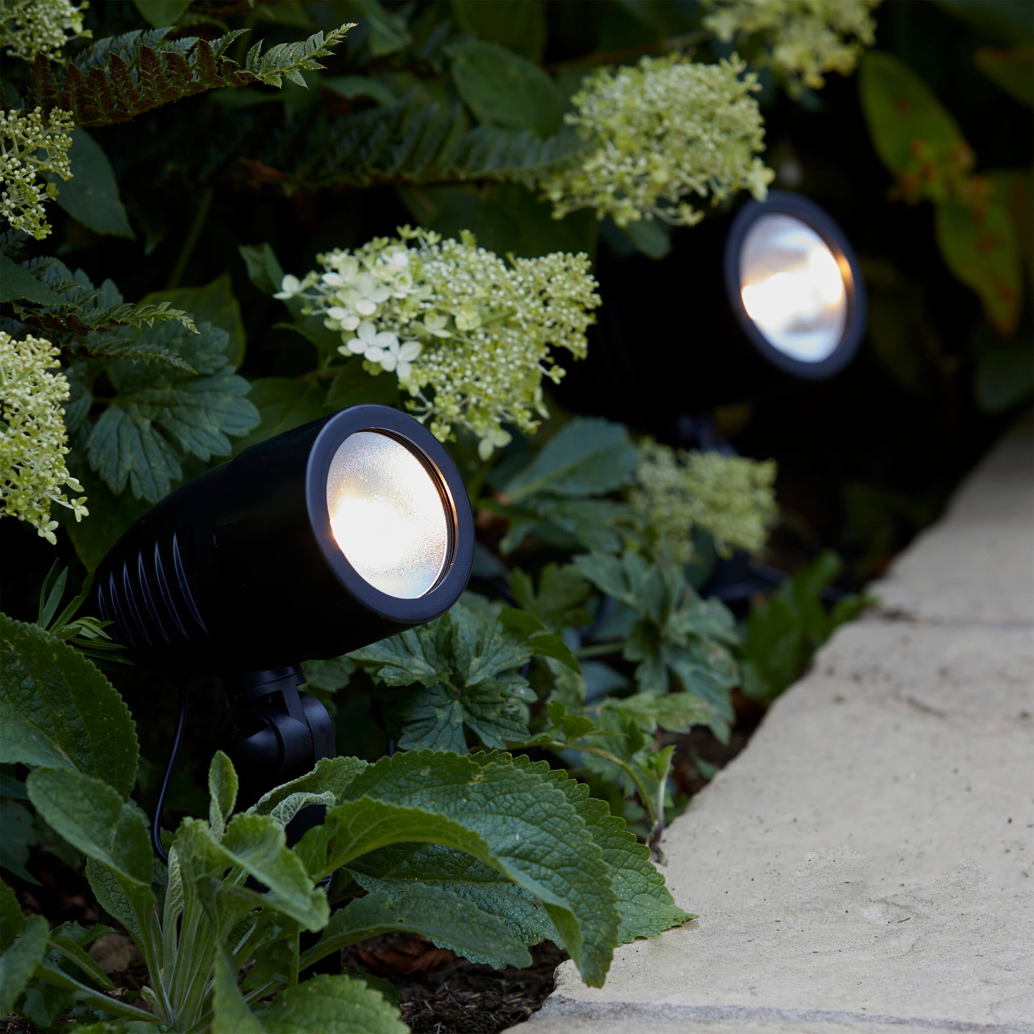 Led Stakes  Solar Light