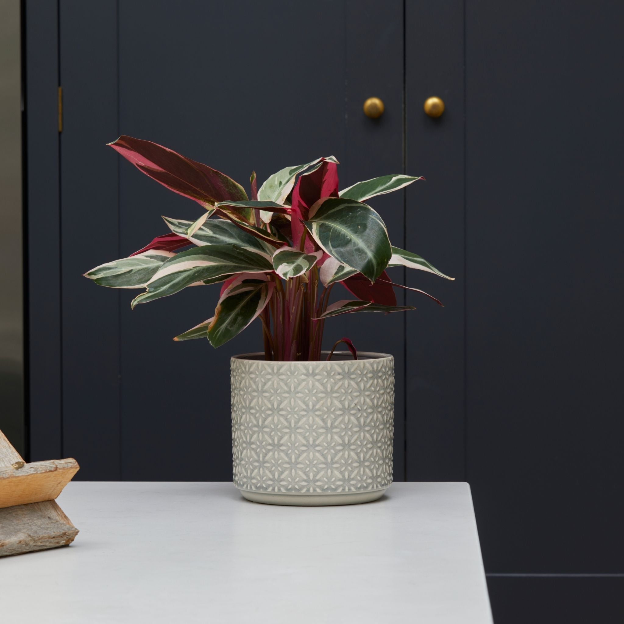 17cm Glazed Indoor Ceramic Geometric Grey Plant Pot