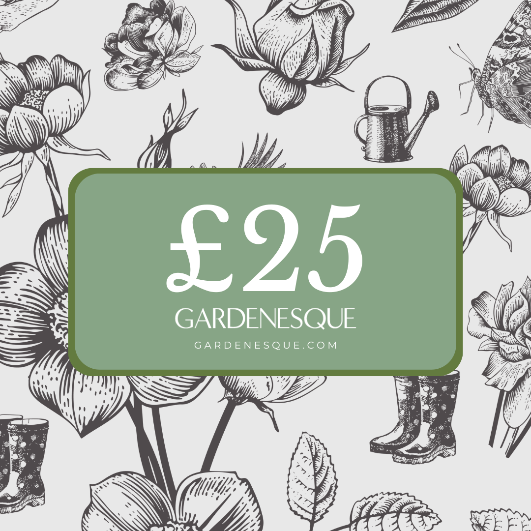 Online Gift Card - 25