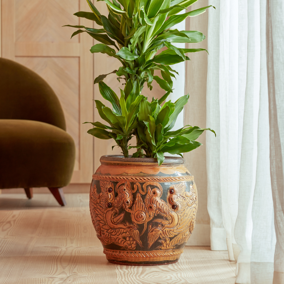 Phaya  Indoor Plant Pot Bronze