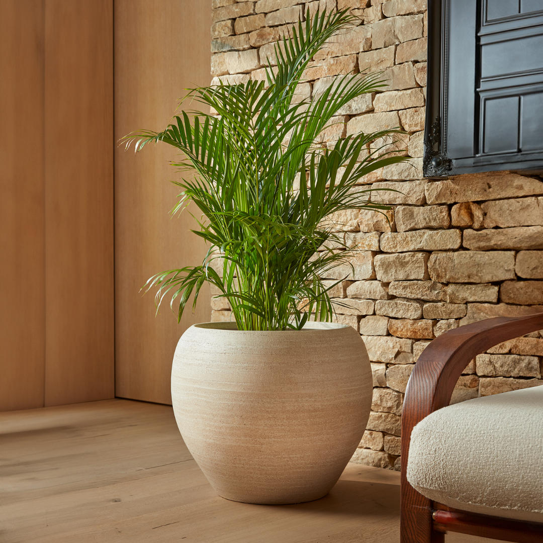 Amora  Indoor Plant Pot Off White