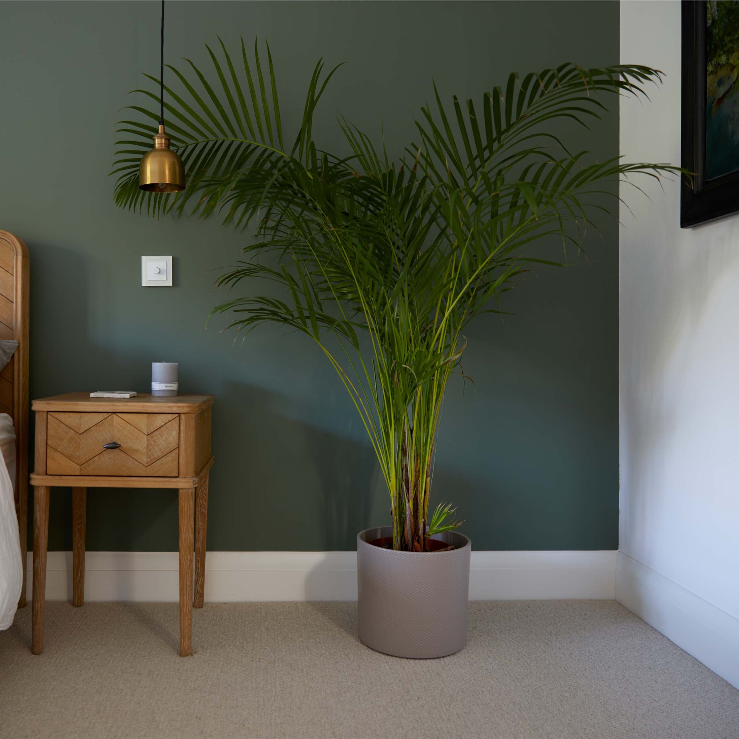 Small Indoor Ceramic Taupe Matt Plant Pot With Dimple Texture  W15 X H13cm