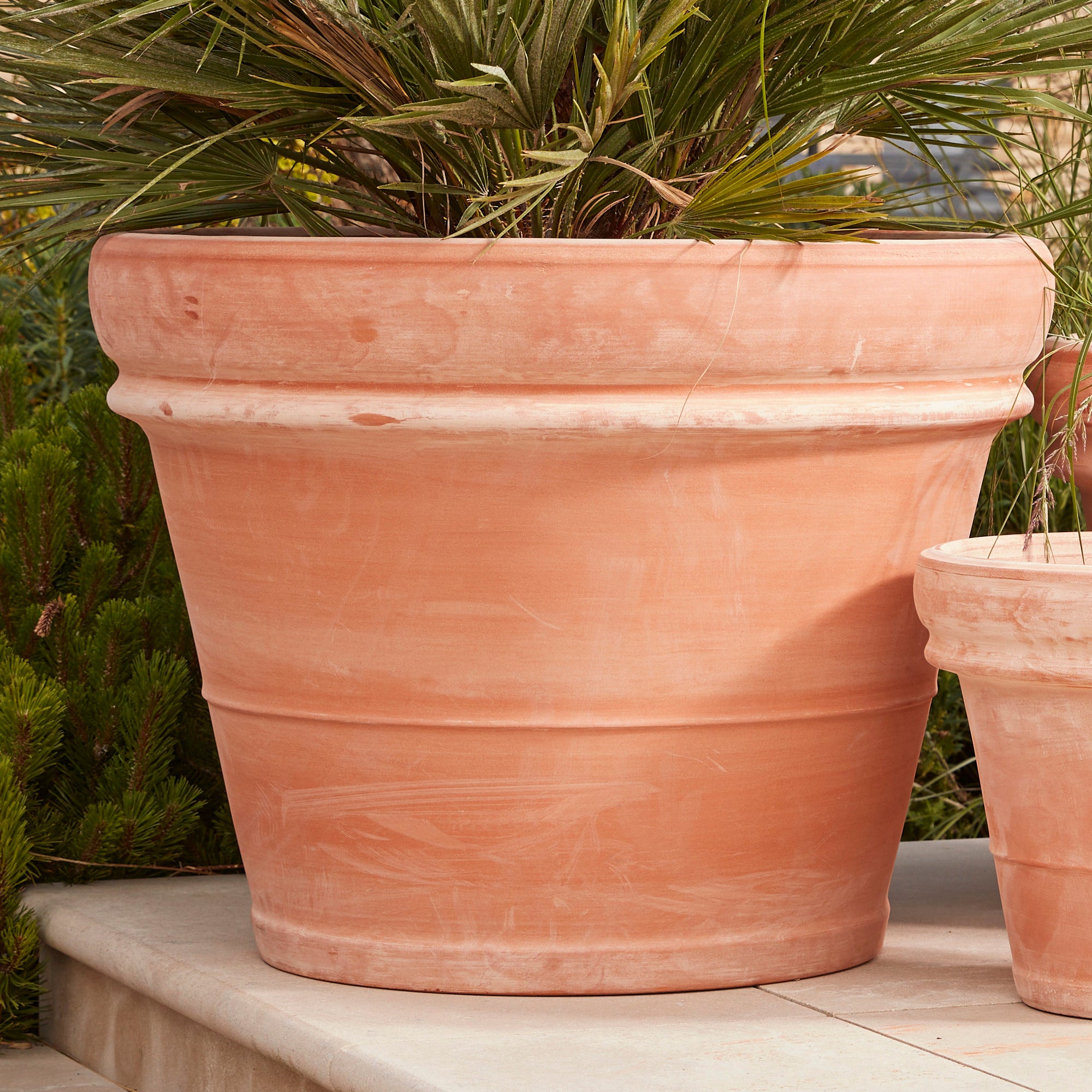 Bordo 62cm Large Terracotta Plant Pot  Outdoor Frostproof Pot  H49cm X W62cm  Durable Hand Crafted Garden Terracotta Pot With Drainage Hole