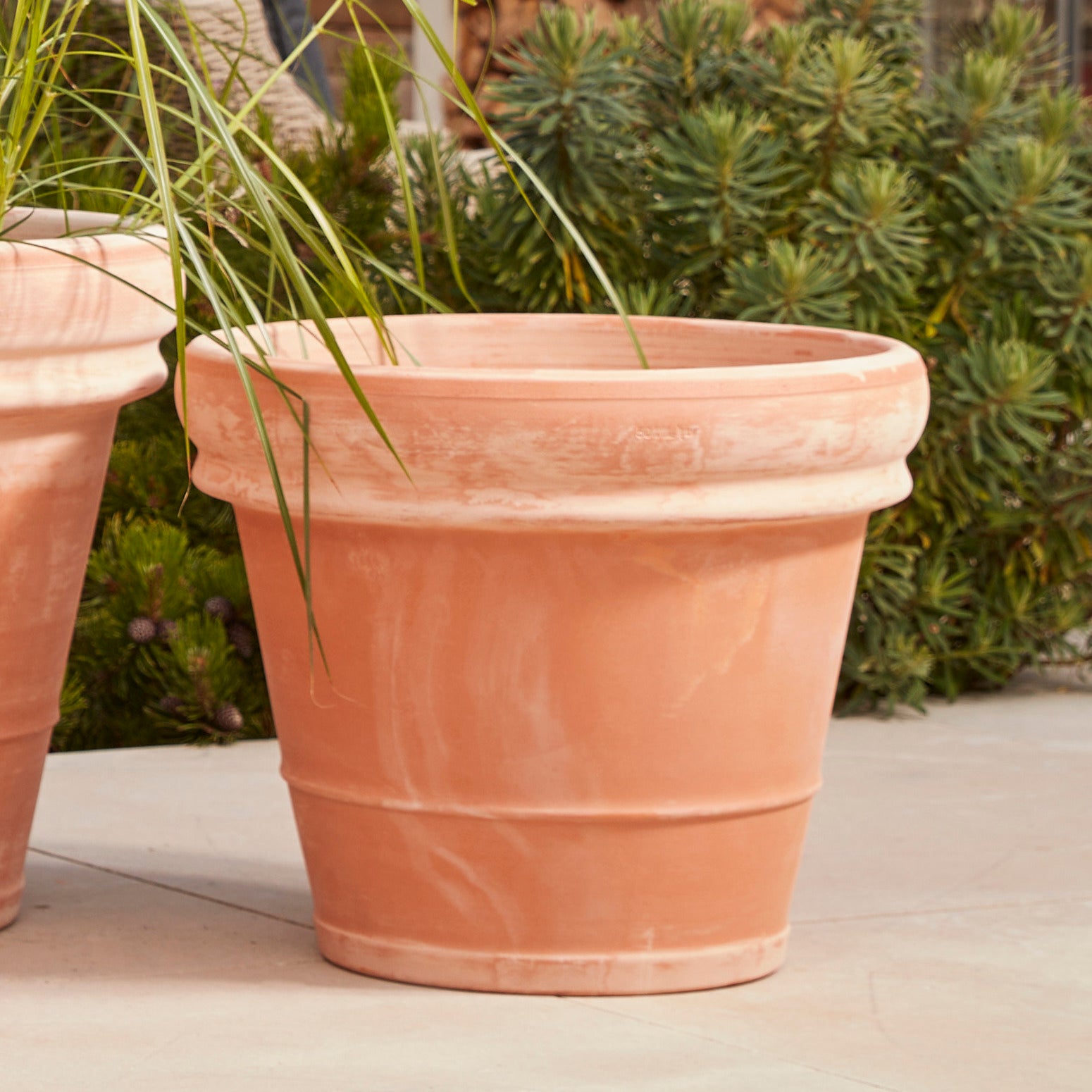 Bordo Italia  Italian Terracotta Pot