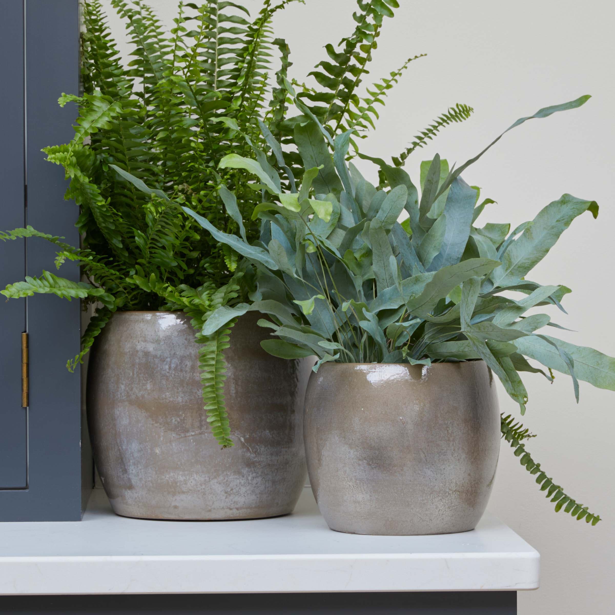Charcoal Grey Metallic Round Indoor Plant Pot - 16cm