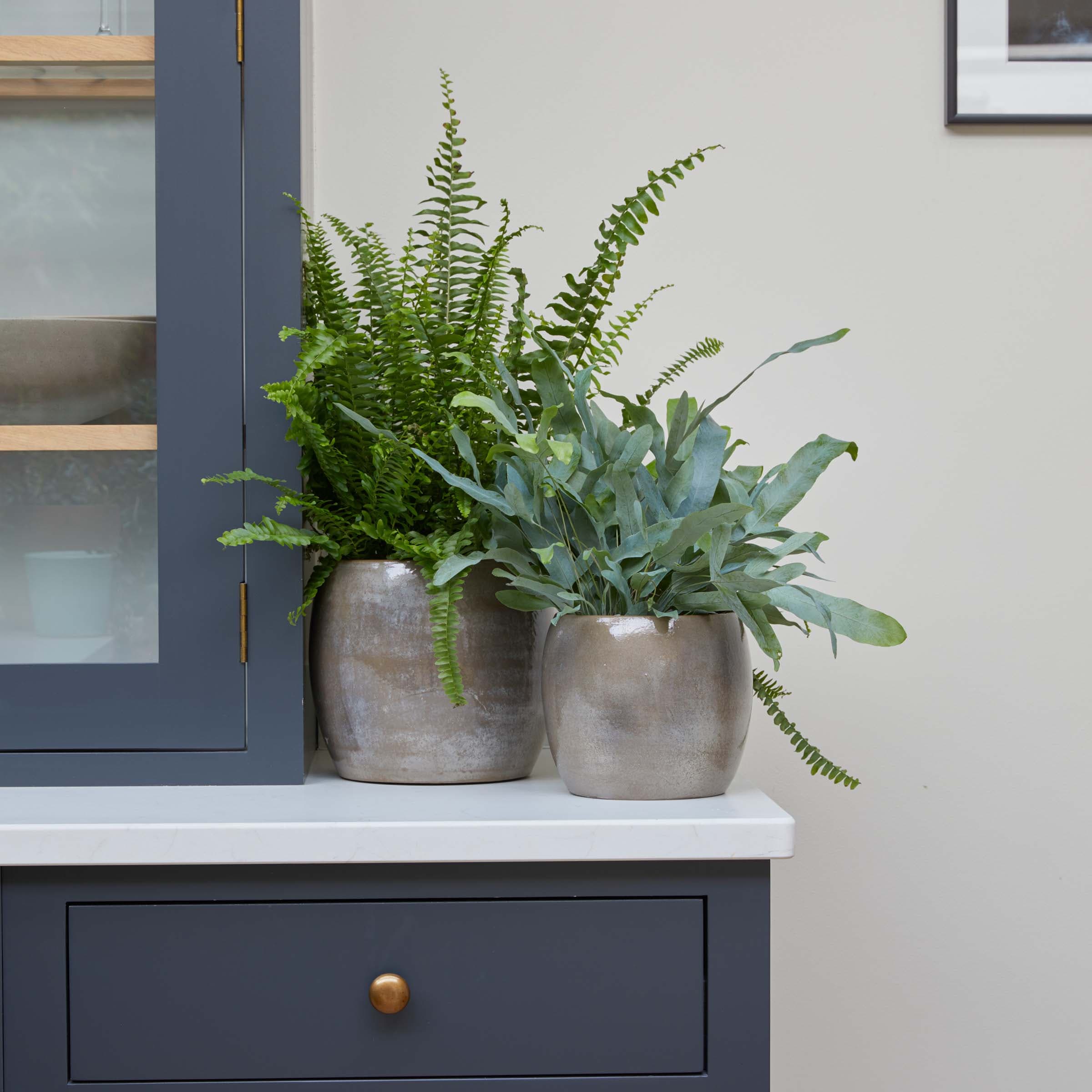 Charcoal Grey Metallic Round Indoor Plant Pot - 24cm