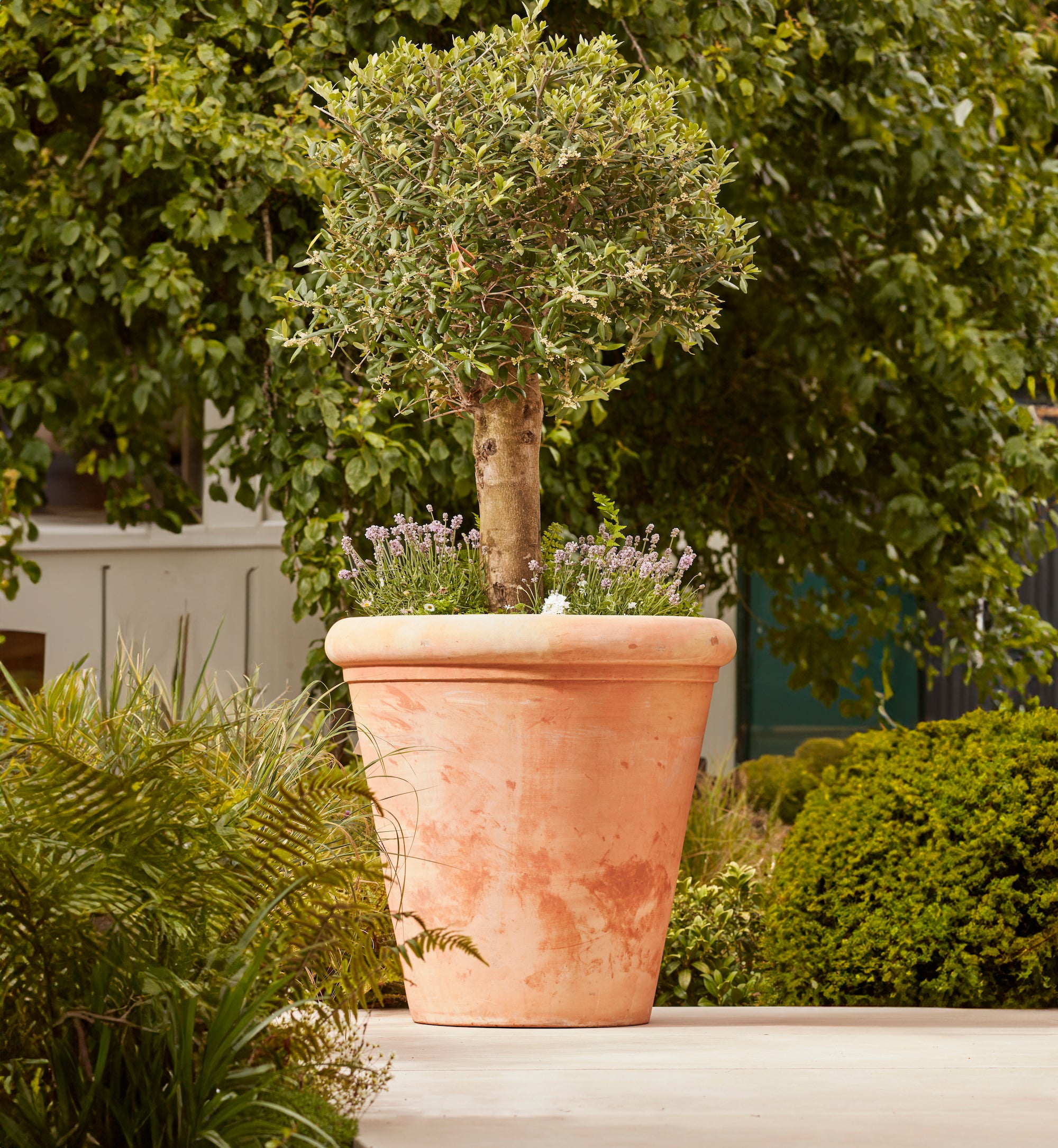 Clayton 80cm Large Terracotta Plant Pot  Outdoor Frostproof Pot  H79cm X W80cm  Durable Hand Crafted Garden Terracotta Pot With Drainage Hole