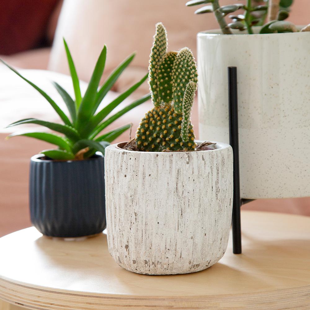 Concrete Indoor Plant Pot - W16 X H15 Cm