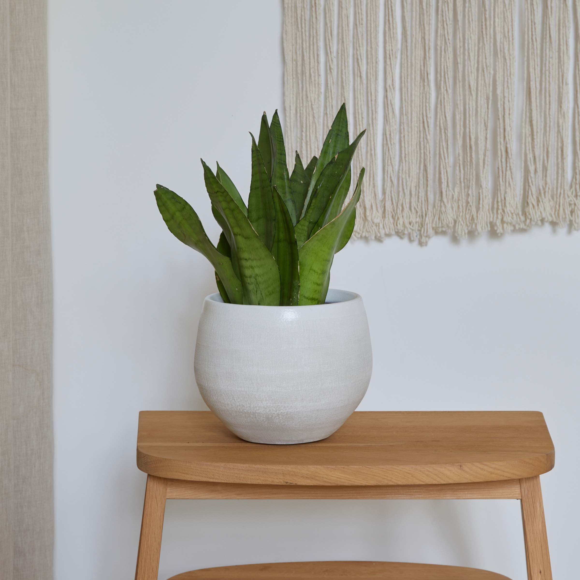 Curved Ceramic Indoor Grey Plant Pot - 29cm